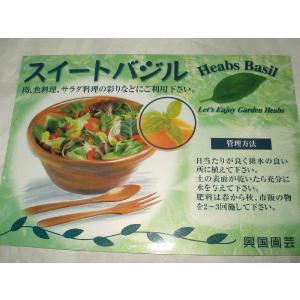 バジル ハーブ 野菜苗 スイートバジル 送料値...の詳細画像4