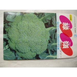 ブロッコリー 緑嶺 野菜苗 送料値下げありの詳細画像1