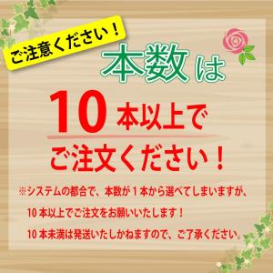 ホワイトデー 卒業祝 入学祝 就職祝 退職祝 ...の詳細画像1