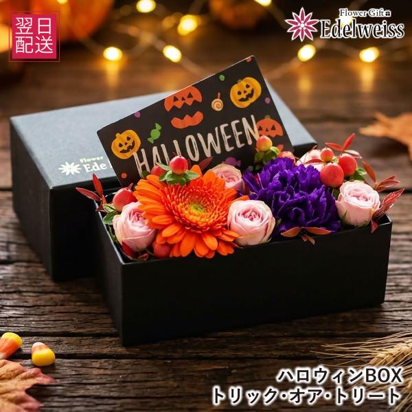 ハロウィン 生花 フラワーアレンジメント フラワーギフト 記念日 誕生日 プレゼント  秋の花贈り ...