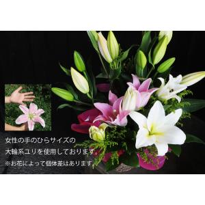敬老の日 花 ギフト ユリ 百合 アレンジメン...の詳細画像2