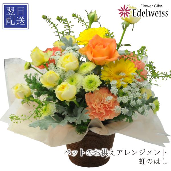 ペット お供え 花 贈る  お供え花 供花 ペット お悔やみ 花  おすすめ 亡くなったペット お供...