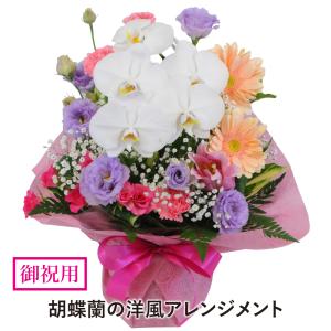 敬老の日 誕生日 プレゼント 花 記念日 生花 転勤 退職祝 昇進祝 昇格 栄転祝 就任祝 花 お祝い用 胡蝶蘭の洋風アレンジメントMサイズ 明日 急ぎ 明日着 配送
