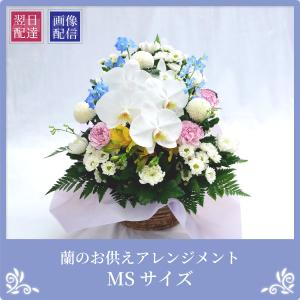 お彼岸 お供え 供花 花 供え お悔やみ 花 ...の詳細画像1