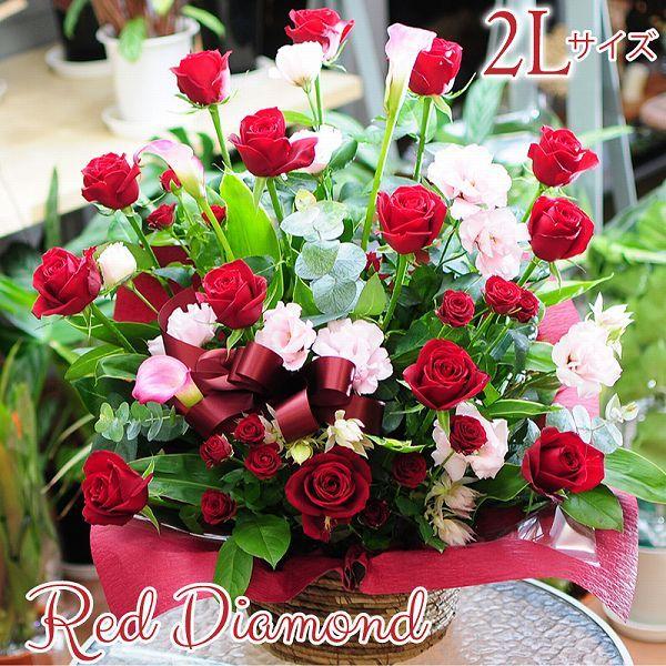 誕生日 プレゼント 花 バラ 赤いバラ アレンジメント レッドローズ 結婚記念日 レッドダイヤモンド...