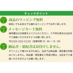 お盆 お供え 新盆 供花 お悔やみ 供花 洋花...の詳細画像3