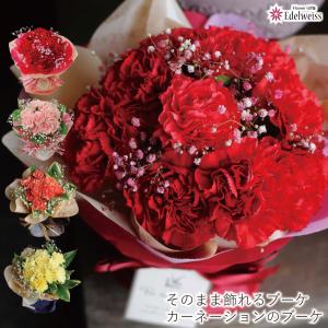 ギフト カーネーション ははの日 2026 誕生日 プレゼント ギフト 花  花束 黄色 ピンクブーケ 生花 そのまま飾れる不思議なブーケ カーネーションのブーケ