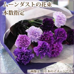 爆買 誕生日 プレゼント 花束 ギフト ムーンダスト 花束 誕生日 青いカーネーション 本数指定 花ギフト ムーンダストの花束 8本以上からの注文受付です