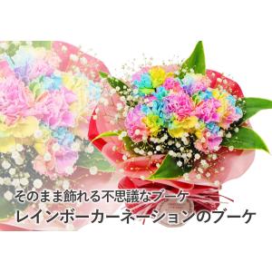 母の日 ギフト 誕生日花束 カーネーション そ...の詳細画像1