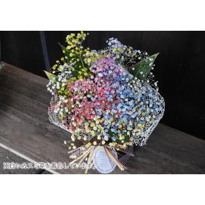 爆買 敬老の日 花 ギフト レインボーかすみ草...の詳細画像2