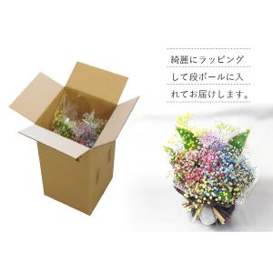 爆買 敬老の日 花 ギフト レインボーかすみ草...の詳細画像4