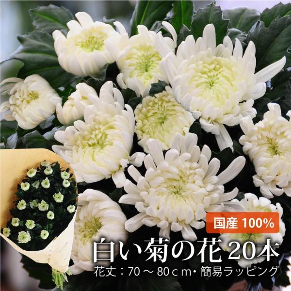 お供え 供花 花 贈る 供花 お悔やみ 仏花 花束  送料無料 墓参り 仏壇 花 命日 墓前 一周忌...