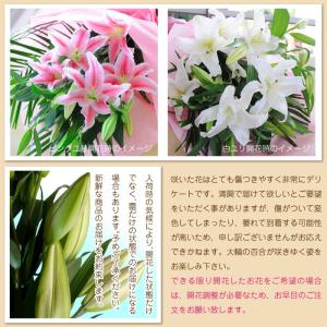 爆買 母の日 誕生日 プレゼント 花束 ユリ ...の詳細画像4