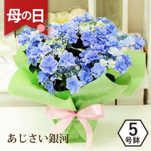 紫陽花 銀河の商品一覧 通販 Yahoo ショッピング