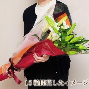 お祝い カサブランカ 花束 誕生日 花 プレゼ...の詳細画像2