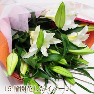 お祝い カサブランカ 花束 誕生日 花 プレゼ...の詳細画像4