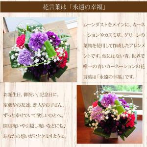 母の日 2026 花 ギフト ムーンダスト ア...の詳細画像3