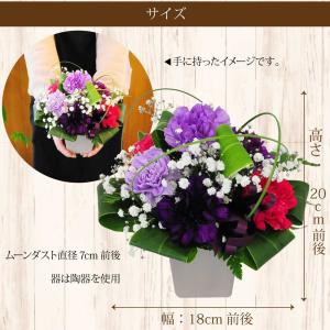 母の日 2026 花 ギフト ムーンダスト ア...の詳細画像4