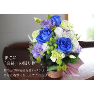 卒業祝 入学祝 就職祝 退職祝 プレゼント 誕...の詳細画像3