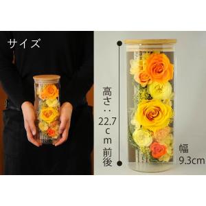 誕生日プレゼント 記念日 プレゼント 彼女 結...の詳細画像5