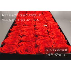 花 高級 赤いバラ プロポーズ 誕生日プレゼン...の詳細画像5