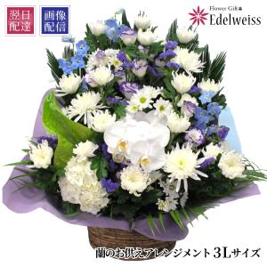お彼岸 お供え花 供花 お供え 供花 アレンジメント お悔やみの花 仏花 胡蝶蘭 宅配 命日 初七日 枕花 一周忌 七回忌 十三回忌 供養 蘭のお供え花アレンジ 3l Ranosonae3l 花束ギフト花工房 誕生日翌日配達 通販 Yahoo ショッピング