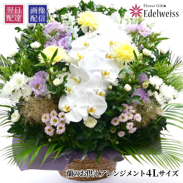 春のお彼岸 お供え 花 供花 仏壇 フラワーギフト お悔やみ 枕花 胡蝶蘭  仏花 法事 法要 四十...