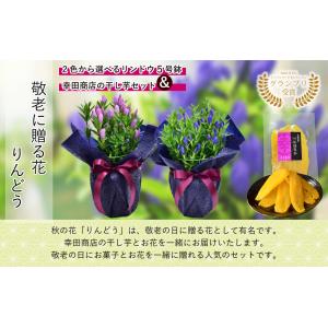 敬老の日 プレゼント 80代 70代 鉢花 フ...の詳細画像4
