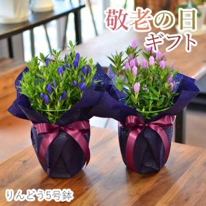 まだ間に合う 敬老の日 プレゼント 80代 70...の商品画像