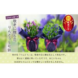 まだ間に合う 敬老の日 プレゼント 80代 7...の詳細画像3