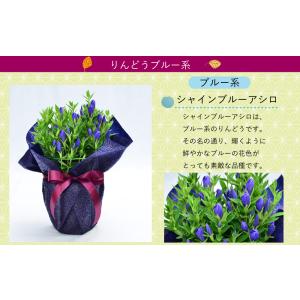 まだ間に合う 敬老の日 プレゼント 80代 7...の詳細画像5