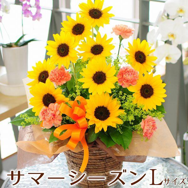 花 ギフト ひまわり  誕生日プレゼント フラワーアレンジメント 向日葵 結婚記念日 フラワーギフト...