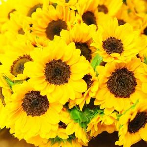 花 ギフト 花束 ひまわり プロポーズ ギフト...の詳細画像2