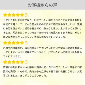 春のお彼岸 お供え 翌日配達 枕花 四十九日 ...の詳細画像3
