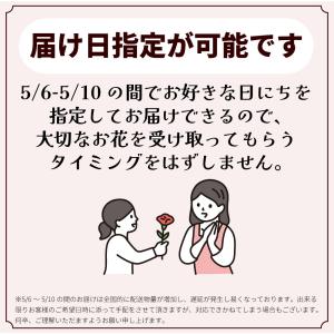 母の日 遅れてごめんね 2026 日付指定可能...の詳細画像1