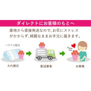 母の日 遅れてごめんね 2026 日付指定可能...の詳細画像4