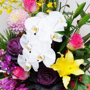 2026 花 お正月 迎春 生花 正月 プレゼ...の詳細画像1
