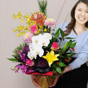 2026 花 お正月 迎春 生花 正月 プレゼ...の詳細画像3