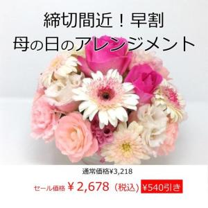 早割母の日フラワーアレンジメント 送料無料 季節のお花たっぷ...