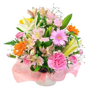 お任せアレンジメント・Sweetie 【花 フラワーギフト 送料無料 御祝 開店 就任 移転 宅配】