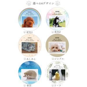 【虹のバルーン】ペット お供え バルーンフラワ...の詳細画像5