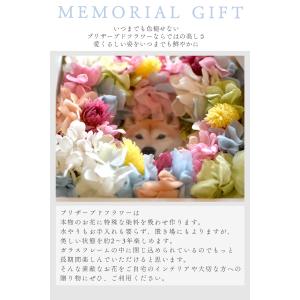 【虹の花畑】ペット お供え 写真 名入れ お悔...の詳細画像1