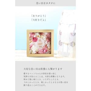 【虹の花畑】ペット お供え 写真 名入れ お悔...の詳細画像2