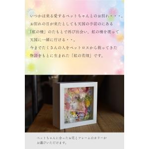 【虹の花畑】ペット お供え 写真 名入れ お悔...の詳細画像3