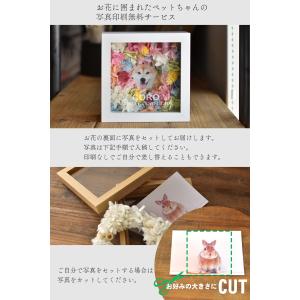 【虹の花畑】ペット お供え 写真 名入れ お悔...の詳細画像4