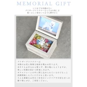 【虹の花畑フォトフレーム】ペット お供え お悔...の詳細画像1