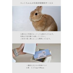 【虹の花畑フォトフレーム】ペット お供え お悔...の詳細画像4