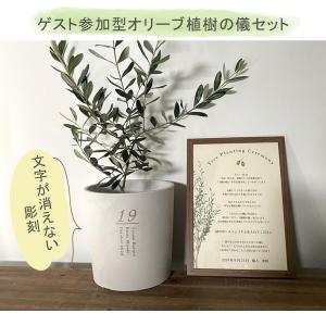 【植樹の儀】送料無料// 結婚証明書 ゲスト参...の詳細画像1