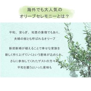 【植樹の儀】送料無料// 結婚証明書 ゲスト参...の詳細画像2