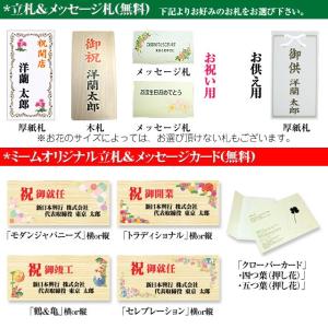 敬老の日 ミニ胡蝶蘭 ミディ ギフト 白・黄色...の詳細画像4